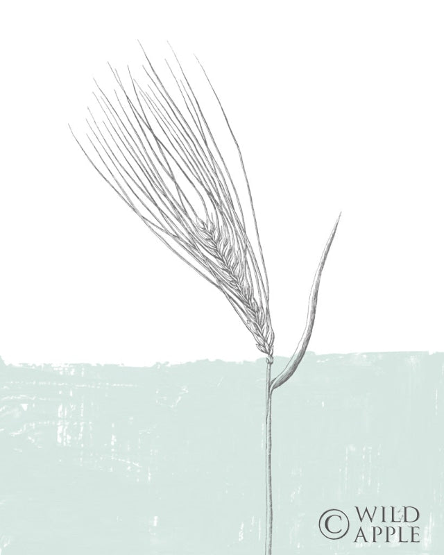 Reproduction of Barley by Sarah Adams - Wall Decor Art