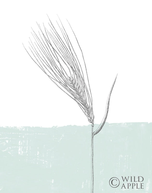 Reproduction of Barley by Sarah Adams - Wall Decor Art