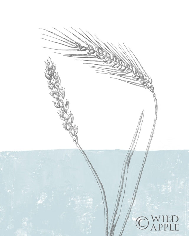 Reproduction of Wheat by Sarah Adams - Wall Decor Art