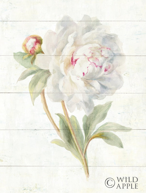 Reproduction of June Blooms II Crop by Danhui Nai - Wall Decor Art