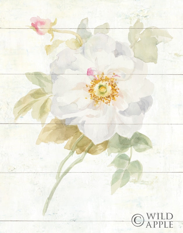 Reproduction of June Blooms III by Danhui Nai - Wall Decor Art