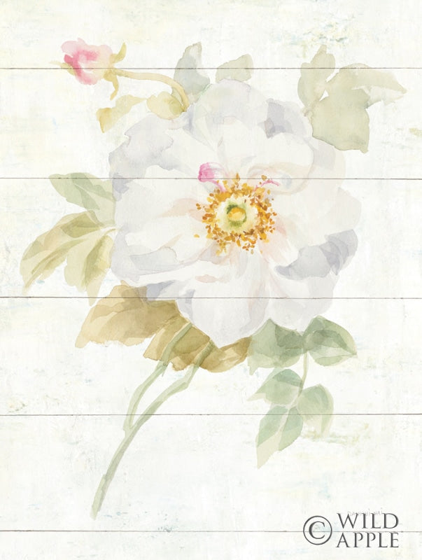Reproduction of June Blooms III Crop by Danhui Nai - Wall Decor Art