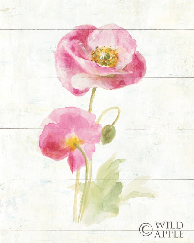 Reproduction of June Blooms IV by Danhui Nai - Wall Decor Art