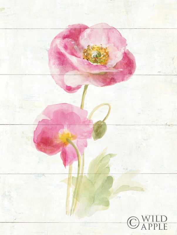Reproduction of June Blooms IV Crop by Danhui Nai - Wall Decor Art