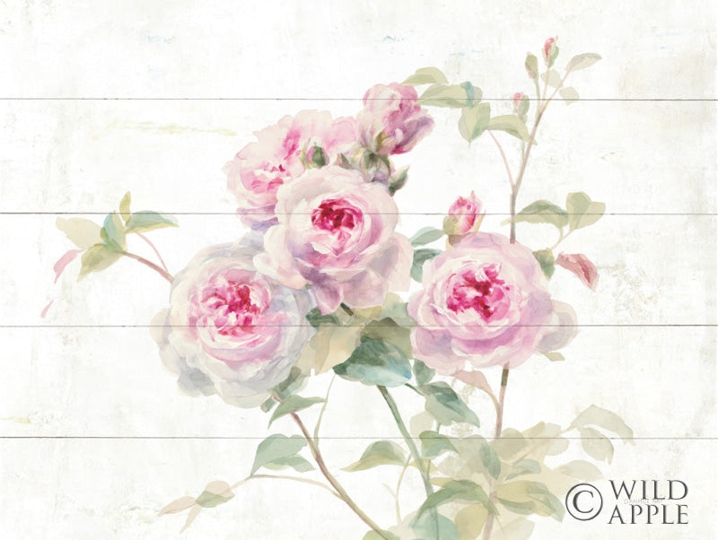 Reproduction of Sweet Roses on Wood by Danhui Nai - Wall Decor Art