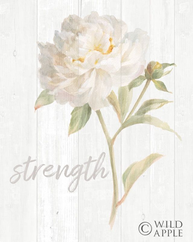 Reproduction of Garden Peony on Wood Strength by Danhui Nai - Wall Decor Art