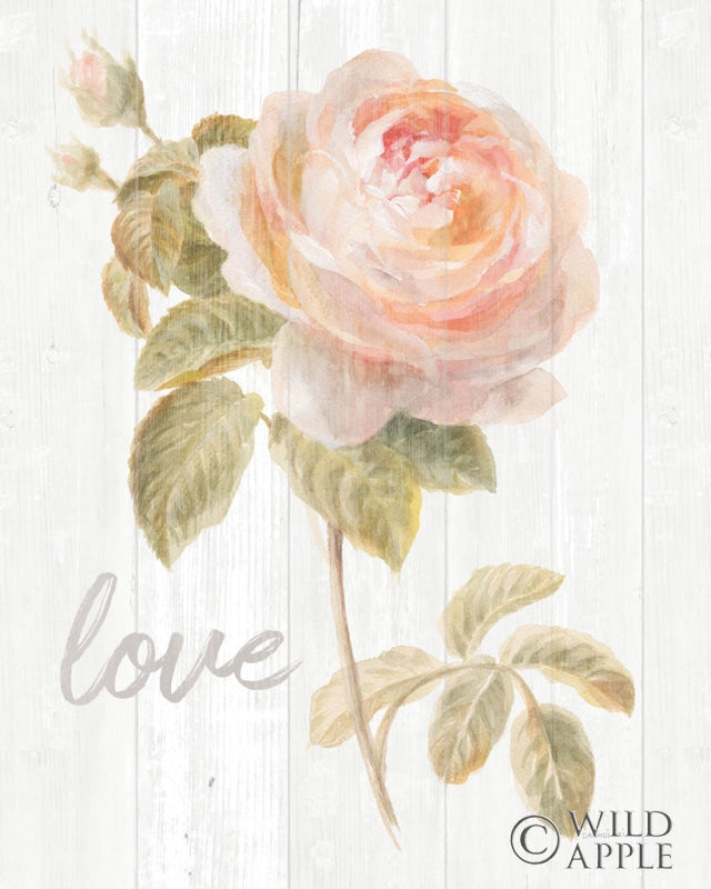 Reproduction of Garden Rose on Wood Love by Danhui Nai - Wall Decor Art