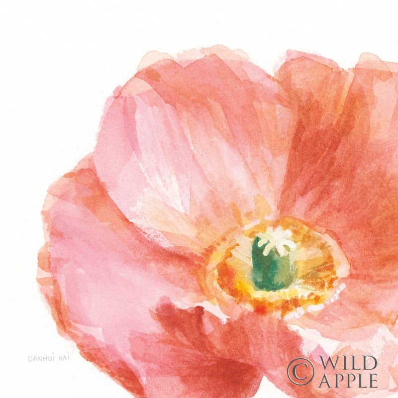 Reproduction of Garden Poppy Flipped on White Crop by Danhui Nai - Wall Decor Art
