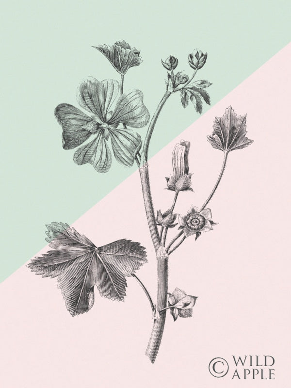 Reproduction of Conversations on Botany VII Color Block by Wild Apple Portfolio - Wall Decor Art