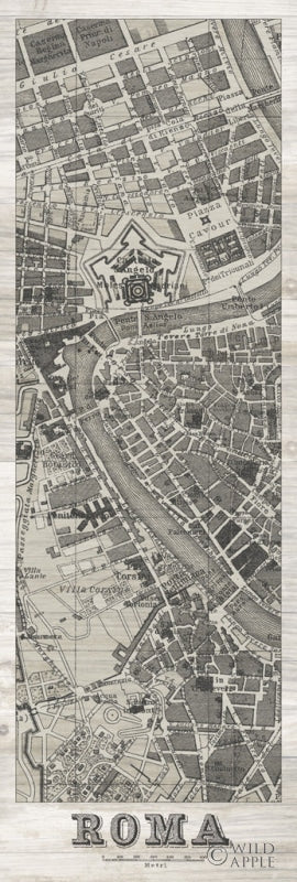 Reproduction of Roma Map Panel on Wood by Wild Apple Portfolio - Wall Decor Art