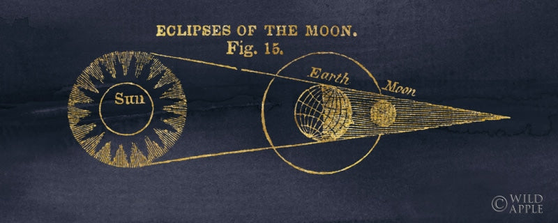 Reproduction of Geography of the Heavens IV Blue Gold by Wild Apple Portfolio - Wall Decor Art