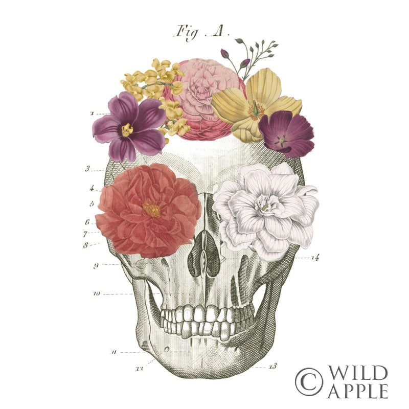 Reproduction of Floral Skull I by Wild Apple Portfolio - Wall Decor Art