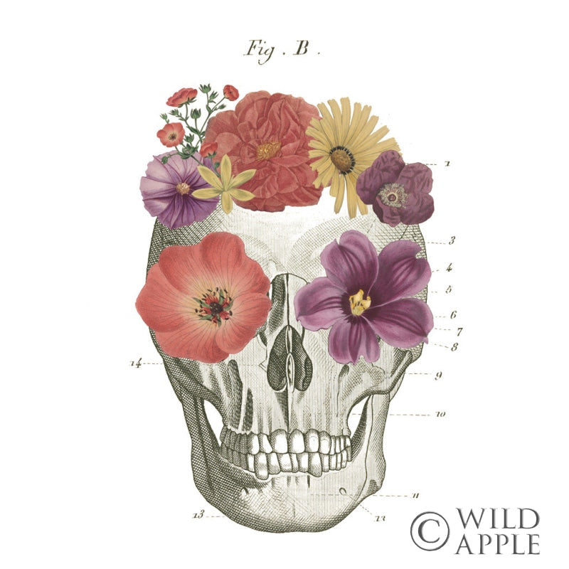 Reproduction of Floral Skull II by Wild Apple Portfolio - Wall Decor Art
