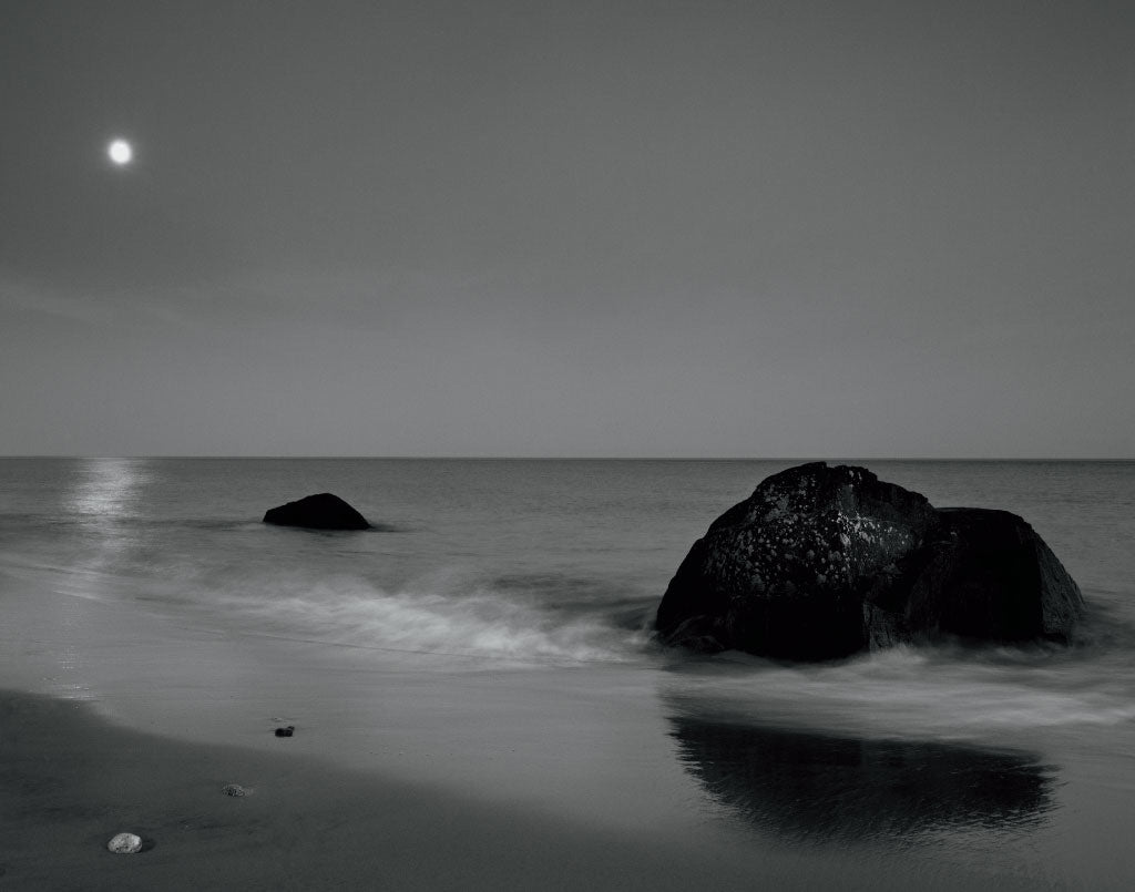 Reproduction of Moonlit I by Aledanda - Wall Decor Art