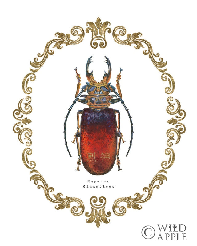 Reproduction of Adorning Coleoptera I by James Wiens - Wall Decor Art