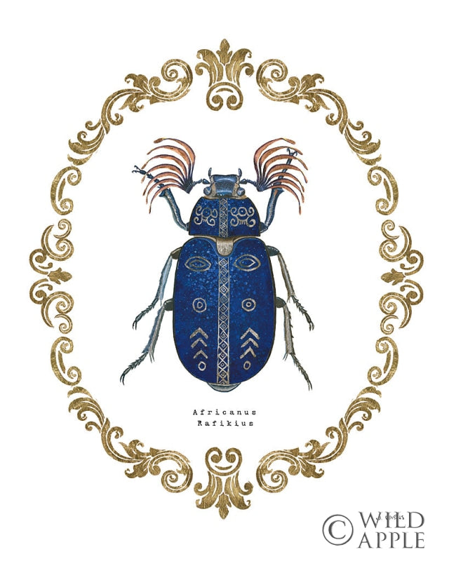 Reproduction of Adorning Coleoptera III by James Wiens - Wall Decor Art