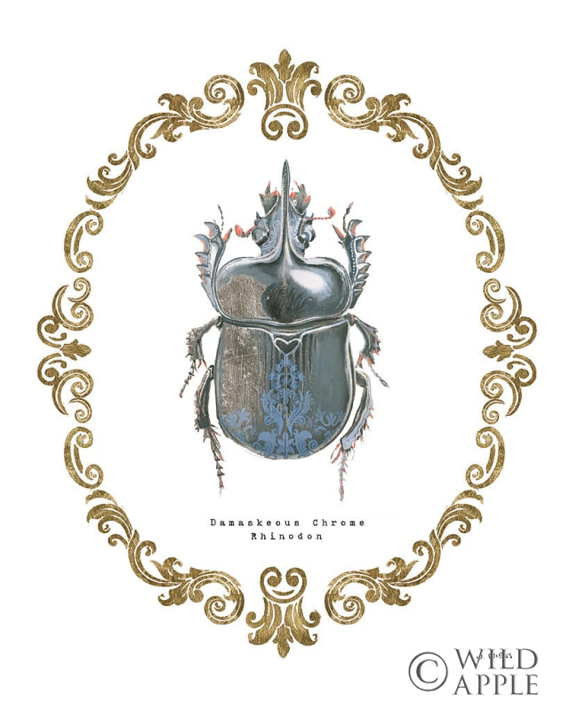 Reproduction of Adorning Coleoptera IV by James Wiens - Wall Decor Art