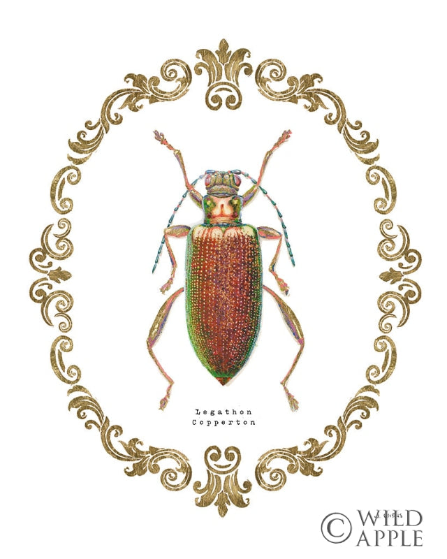 Reproduction of Adorning Coleoptera VI by James Wiens - Wall Decor Art