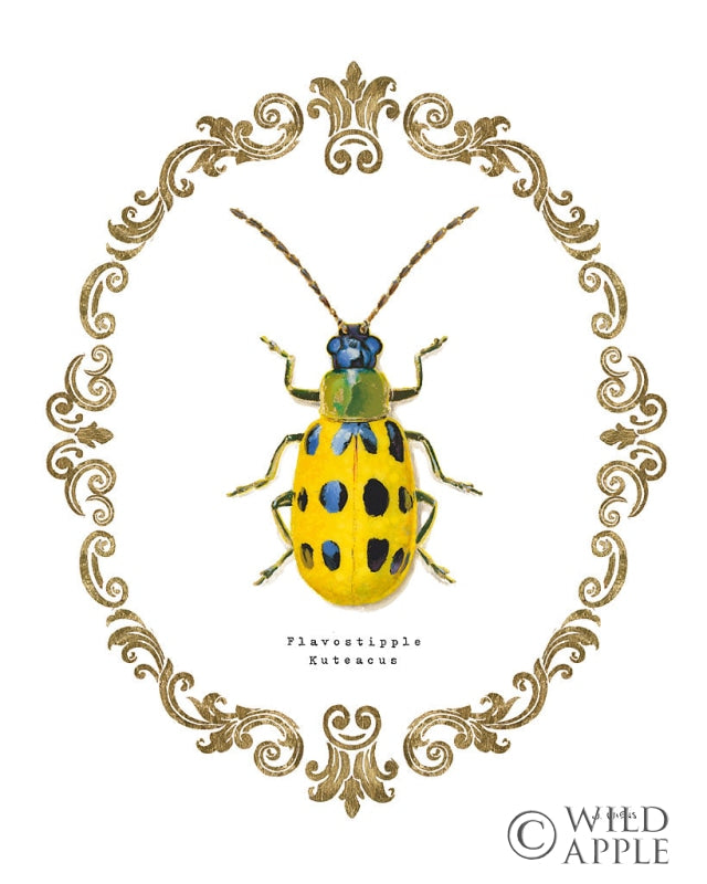 Reproduction of Adorning Coleoptera VII by James Wiens - Wall Decor Art