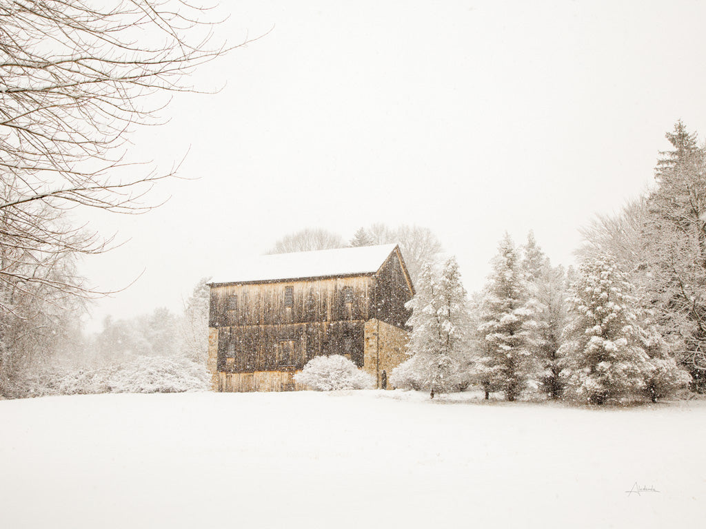 Reproduction of First Snow Crop by Aledanda - Wall Decor Art