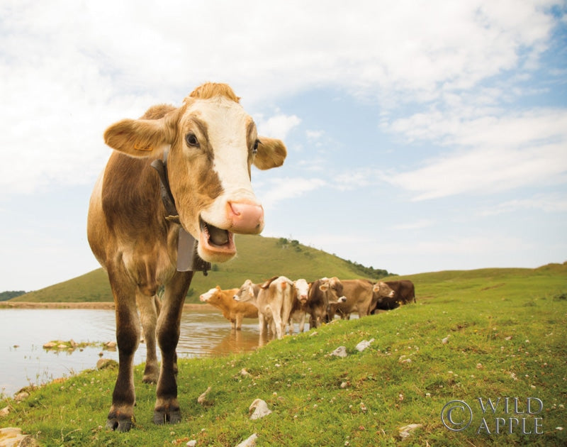 Reproduction of Close Up III by Aledanda - Wall Decor Art