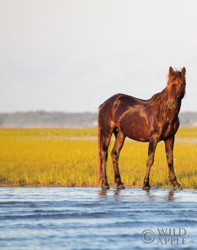 Reproduction of By the River by Aledanda - Wall Decor Art