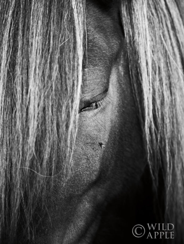 Reproduction of Shy Crop by Aledanda - Wall Decor Art