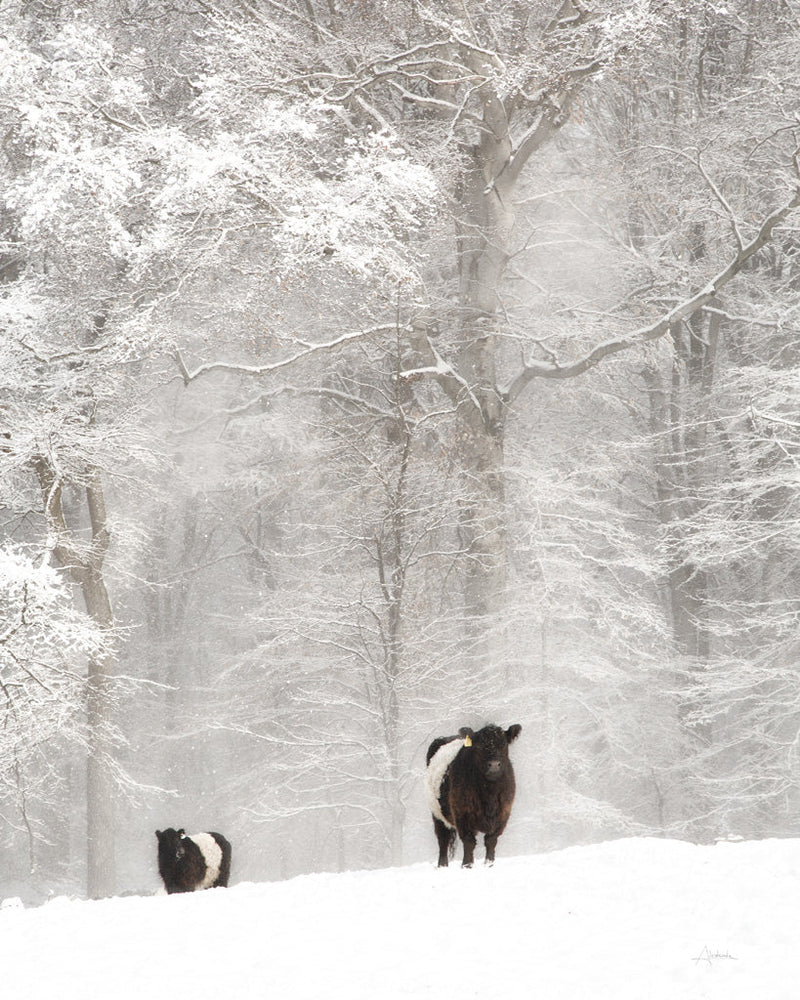 Reproduction of Oreos and Milk I Crop by Aledanda - Wall Decor Art