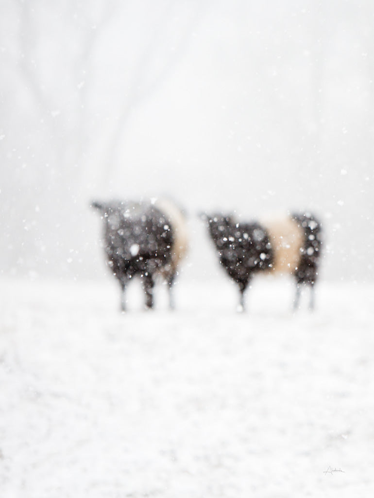 Reproduction of Oreos and Milk IV by Aledanda - Wall Decor Art