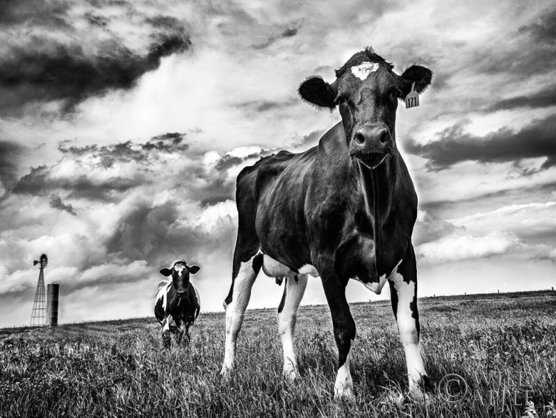 Reproduction of Waiting BW by Aledanda - Wall Decor Art