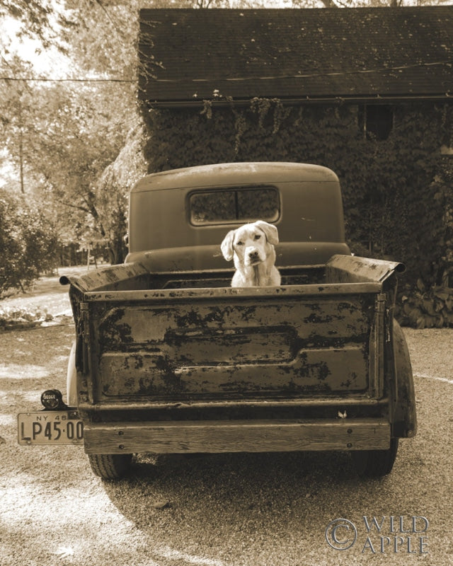 Reproduction of Get Out of Dodge by Jim Dratfield - Wall Decor Art