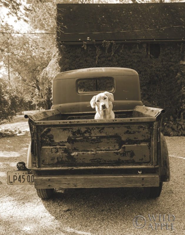 Reproduction of Get Out of Dodge by Jim Dratfield - Wall Decor Art