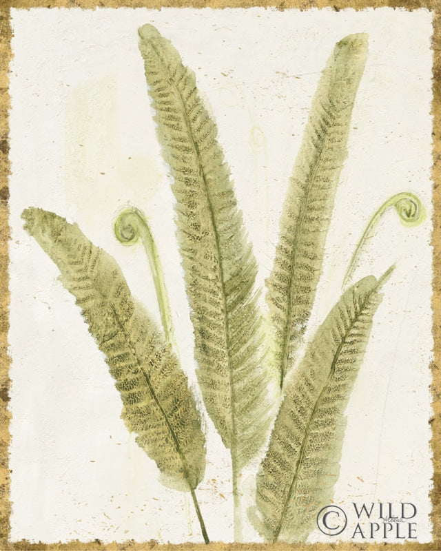 Reproduction of Forest Ferns II v2 Antique by Albena Hristova - Wall Decor Art