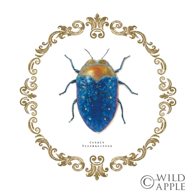 Reproduction of Adorning Coleoptera V Sq by James Wiens - Wall Decor Art