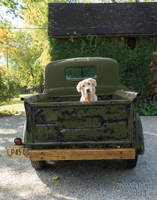 Reproduction of Get Out of Dodge Hunter Green by Jim Dratfield - Wall Decor Art