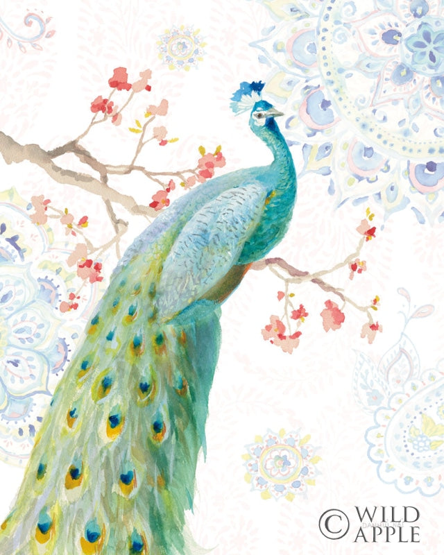 Reproduction of Jaipur I by Danhui Nai - Wall Decor Art