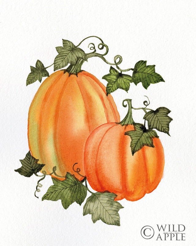 Reproduction of Pumpkin and Vines I by Kathleen Parr McKenna - Wall Decor Art