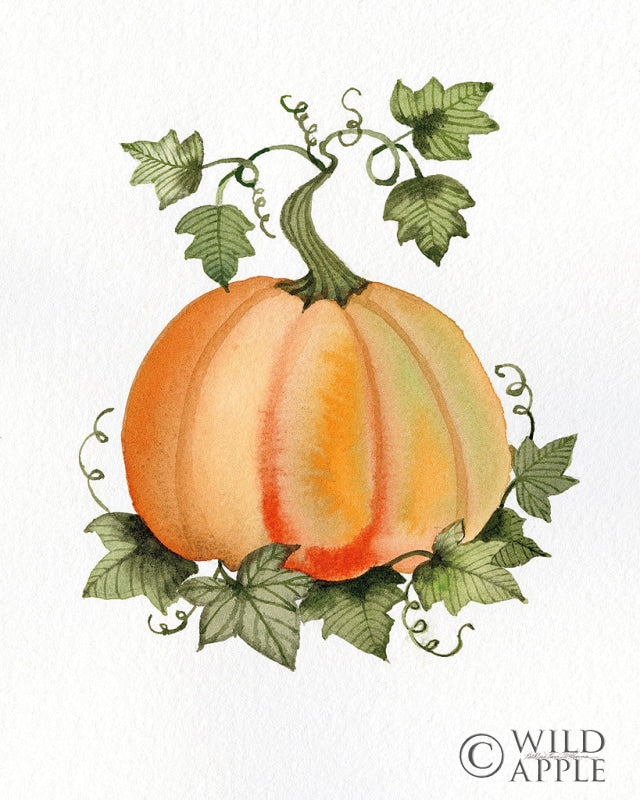 Reproduction of Pumpkin and Vines II by Kathleen Parr McKenna - Wall Decor Art