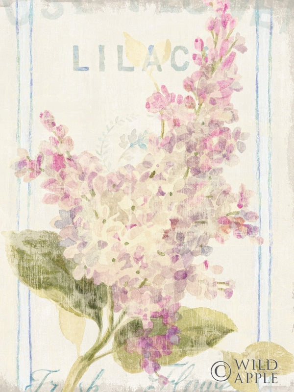 Reproduction of Floursack Florals V Crop by Danhui Nai - Wall Decor Art