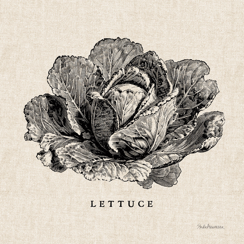 Reproduction of Burlap Vegetable BW Sketch Lettuce by Studio Mousseau - Wall Decor Art