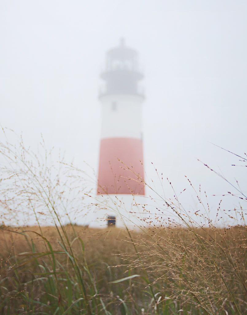 Reproduction of Sankaty Head in the Fog Crop by Laura Marshall - Wall Decor Art