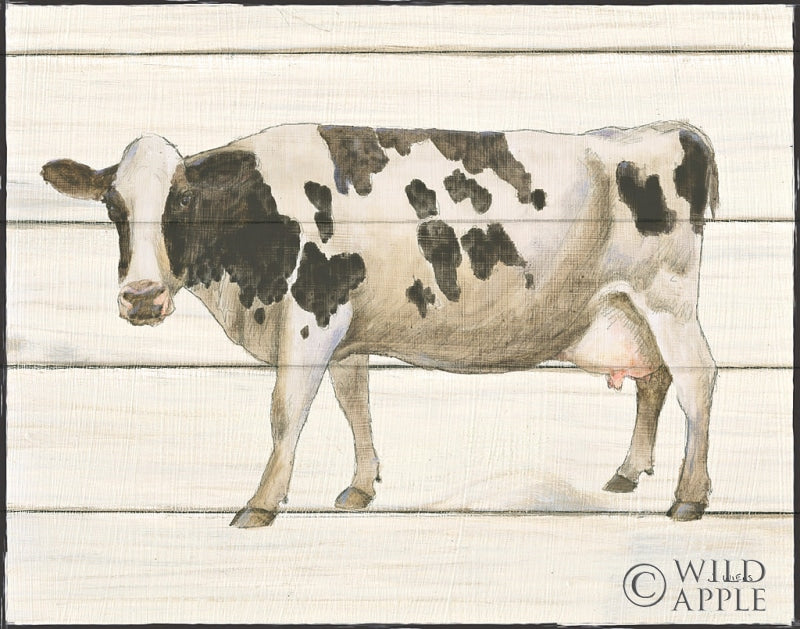 Reproduction of Country Cow VI by James Wiens - Wall Decor Art