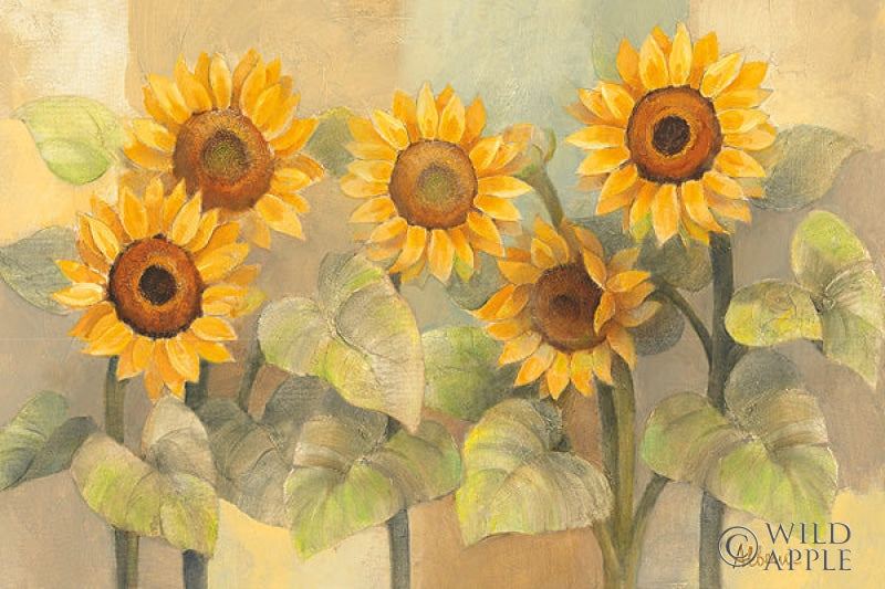 Reproduction of August Sunflowers by Albena Hristova - Wall Decor Art