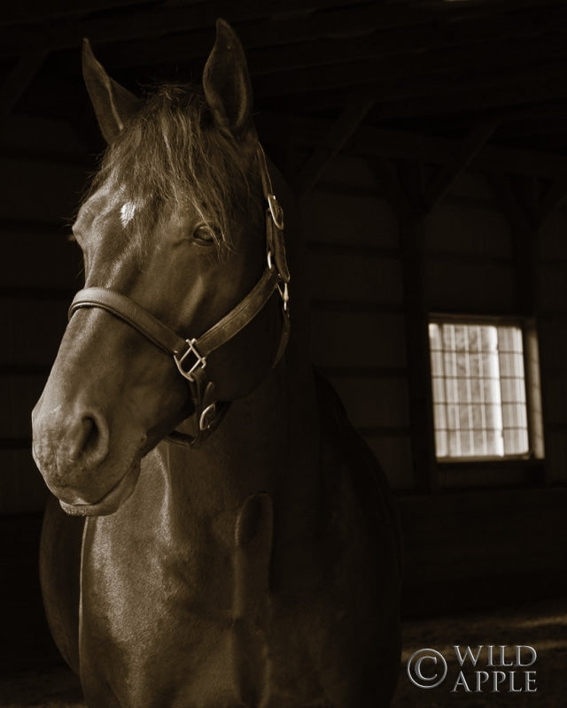 Reproduction of Out of the Shadows by Jim Dratfield - Wall Decor Art