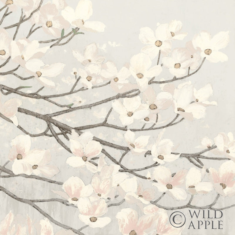 Reproduction of Dogwood Blossoms II Gray by James Wiens - Wall Decor Art