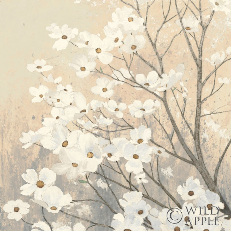 Reproduction of Dogwood Blossoms II Neutral by James Wiens - Wall Decor Art