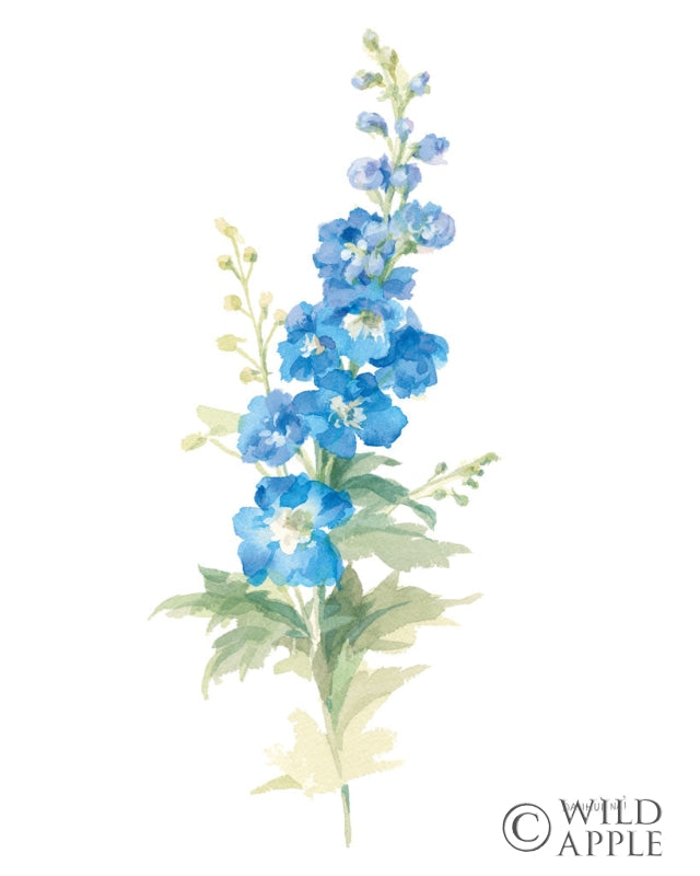 Reproduction of Floursack Florals on White VII by Danhui Nai - Wall Decor Art