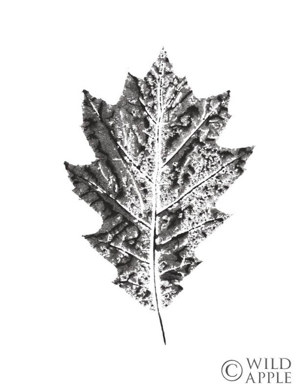 Reproduction of Harvest Sentiments VII BW no Words by Moira Hershey - Wall Decor Art