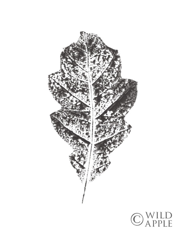 Reproduction of Harvest Sentiments VIII BW no Words by Moira Hershey - Wall Decor Art