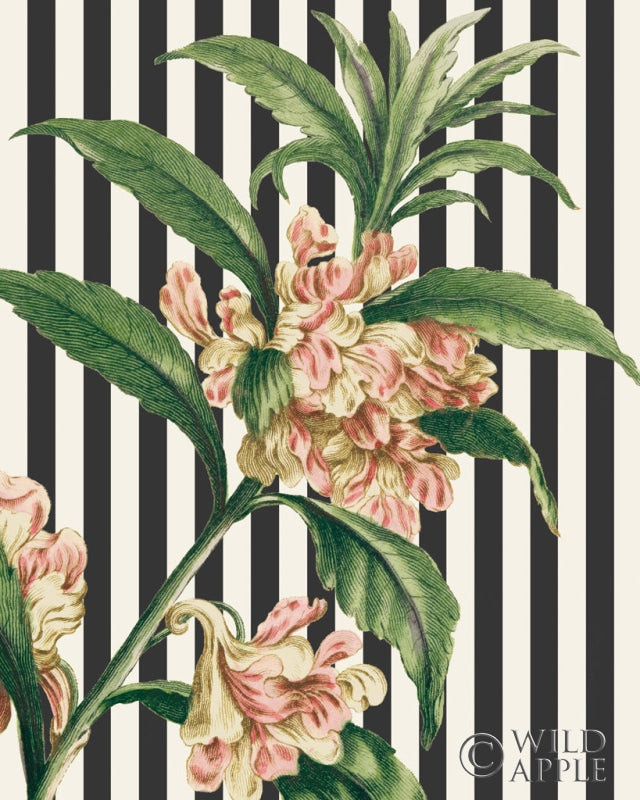 Reproduction of Herbal Botanical XXVI Bold Crop by Wild Apple Portfolio - Wall Decor Art